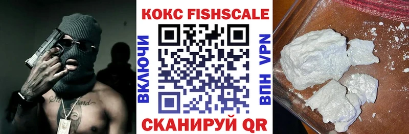 Купить где  Киселёвск  Кокаин FishScale 