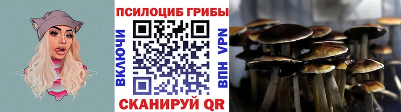 Галлюциногенные грибы Psilocybine cubensis  Купить закладки  Киселёвск 